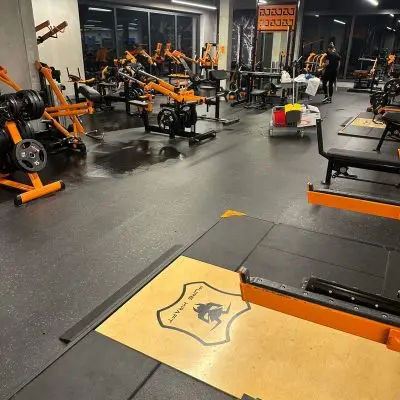 Fitnessstudio Reinigung in Ulm Reinigung der Trainingsfläche und Gerätebereiche im Gym