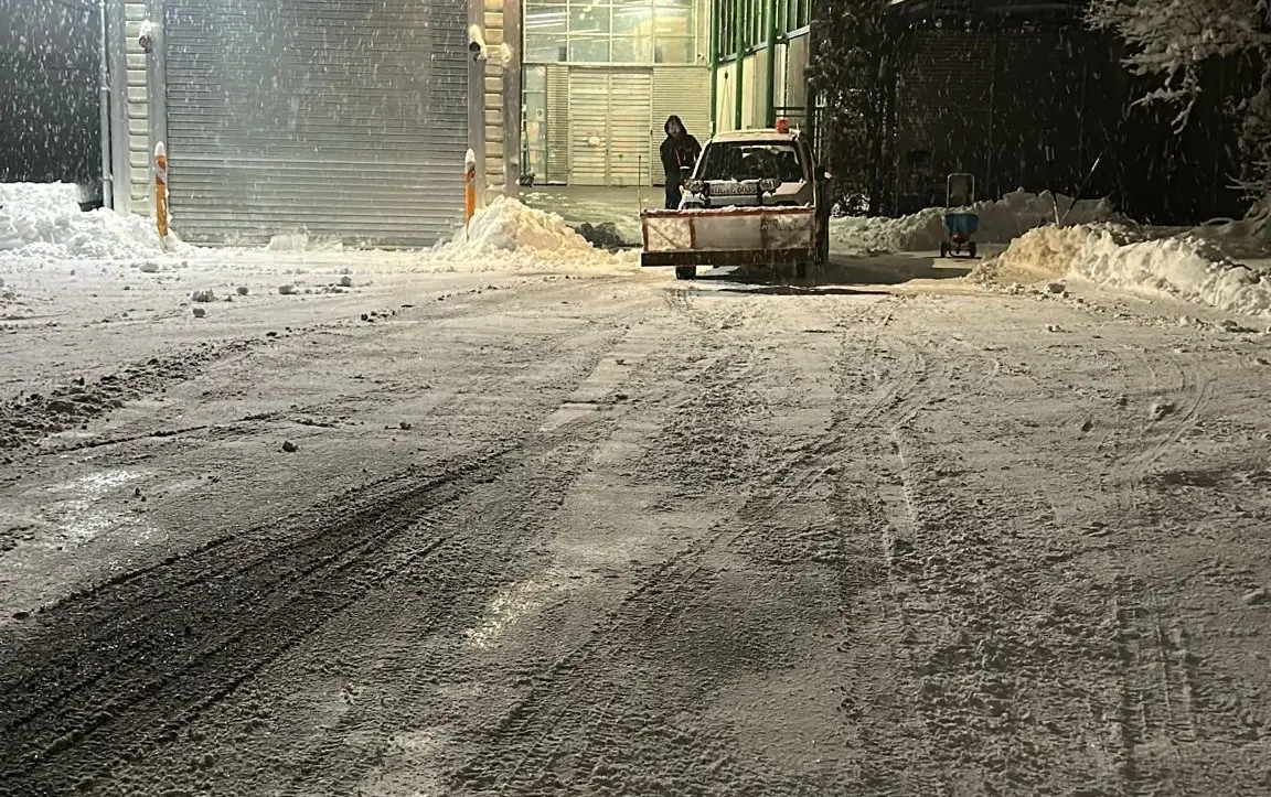 Winterdienst Ulm geräumte Zufahrt bei Schneefall mit Räumfahrzeug und Schneeaufwurf
