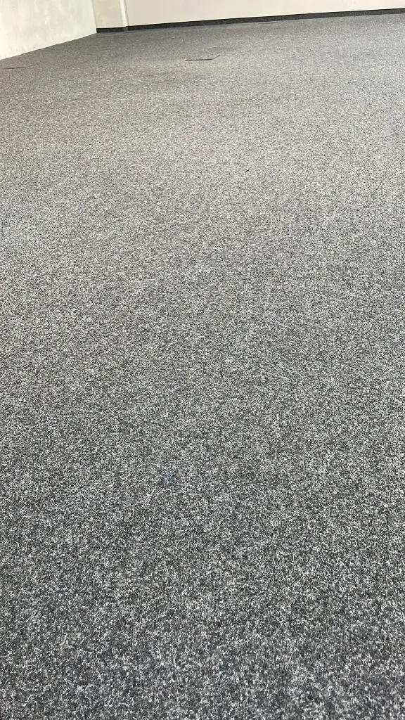 Teppichreinigung Ulm gleichmäßiger Teppichboden nach Tiefenreinigung ohne Laufstraßen