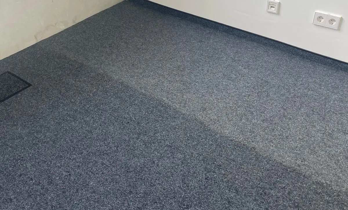 Teppichreinigung Ulm sichtbarer Reinigungsstreifen auf Teppichboden nach Nassreinigung