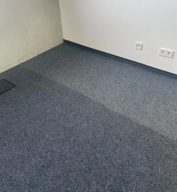 Teppichreinigung Ulm sichtbarer Reinigungsstreifen auf Teppichboden nach Nassreinigung